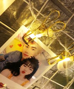 Kẹp đèn led mạ vàng 2m5